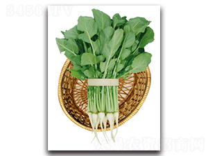 ��G��Ԫ�~-�}���N��-���}�r�I