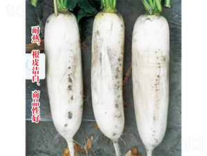 �׸���-�}���N��-�֠��r�I