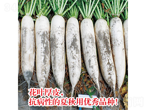 ����}��-�}���N��-�֠��r�I