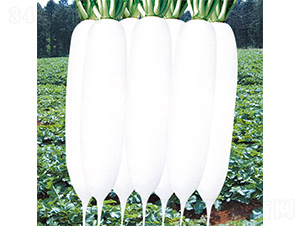 ������-�}���N��-�֠��r�I