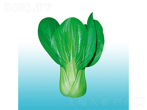 �֠�917-�๣�˷N��-�֠��r�I