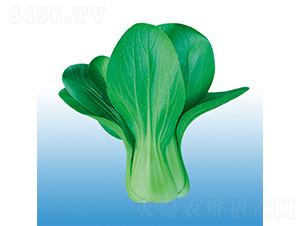 ��������-�๣�˷N��-�֠��r�I