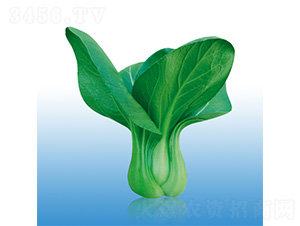 �֠�918-�๣�˷N��-�֠��r�I