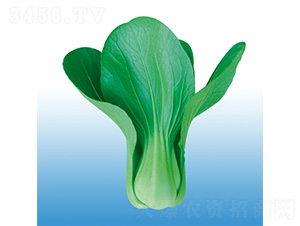 ���-�๣�˷N��-�֠��r�I