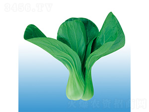 �\�-�๣�˷N��-�֠��r�I