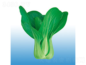 ����-�๣�˷N��-�֠��r�I