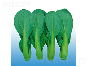 �Ϻ������-�๣�˷N��-�֠��r�I