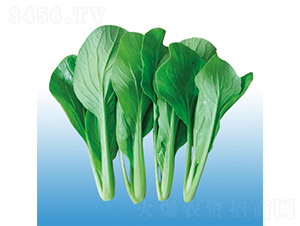 ����һ�͟��uë��-�๣�˷N��-�֠��r�I