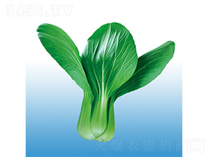 �֠�618-�๣�˷N��-�֠��r�I