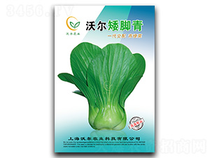 �֠����_��-�๣�˷N��-�֠��r�I