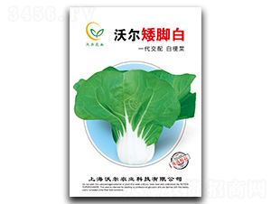 �֠����_��-�๣�˷N��-�֠��r�I