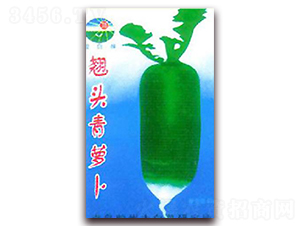 �N�^���}��-�}���N��-�z��