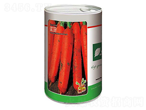 �t�-���}���N��-�S�T�N�I(y��)