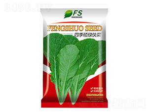 �ļ��T�G���-��˷N��-�S�T�N�I