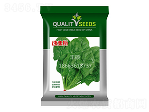 �ٵ�˹-�๣�˷N��-�S�T�N�I