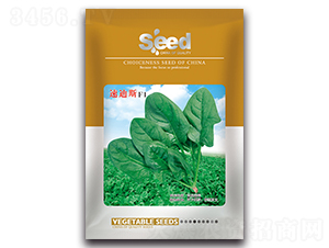 �ٵ�˹F1-�๣�˷N��-�S�T�N�I