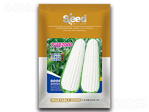 �f�T2000-��Ŵ���׷N��-�S�T�N�I