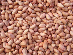 ����16̖-�����N��-���S�r�I