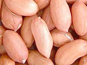 ����1̖-�����N��-���S�r�I