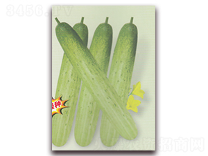 ����S��-�S�ϷN��-����N�I