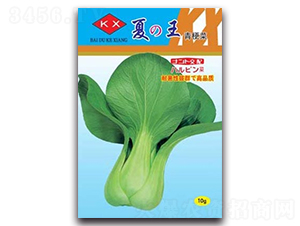 ����-�๣�˷N��-����N�I