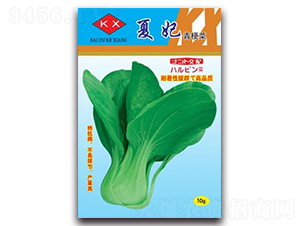 ����-�๣�˷N��-����N�I