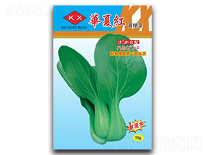 �A�ļt�๣��-�๣�˷N��-����N�I