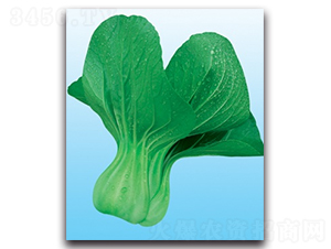 ���A�๣��-�๣�˷N��-����N�I