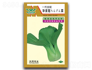 �A����-�๣�˷N��-����N�I