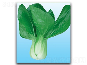 ����-�๣�˷N��-����N�I