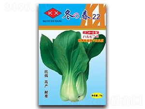 ����22�๣��-�๣�˷N��-����N�I