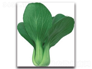 ����98�๣��-�๣�˷N��-����N�I