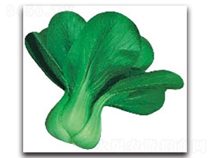 ����8̖-�๣�˷N��-����N�I