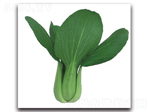 �A�ļt2̖�๣��-�๣�˷N��-����N�I