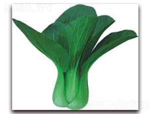 �t��312�๣��-�๣�˷N��-����N�I