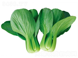 �t����322��-�๣�˷N��-����N�I