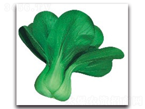 ����4̖-�๣�˷N��-����N�I