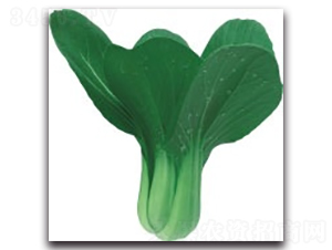 ����3̖-�๣�˷N��-����N�I