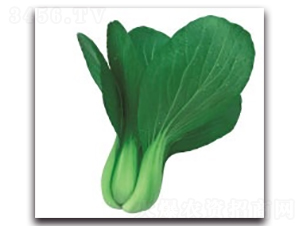 ����2̖-�๣�˷N��-����N�I