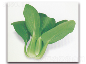 ����599-�๣�˷N��-����N�I