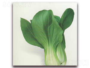 �Ͷ���22�๣��-�๣�˷N��-����N�I