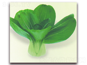 �����๣��-�๣�˷N��-����N�I