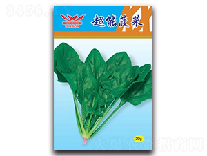 ���ܲ���-���˷N��-����N�I