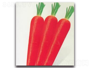 �t��110���}��-�}���N��-����N�I(y��)