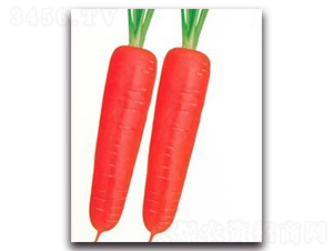 �|��19���}��-�}���N��-����N�I(y��)