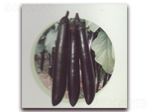 ����������-���ӷN��-����N�I