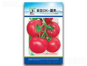 �ػ�DK-�Ľ�F1-���ѷN��-�ػ�