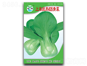 上?？篃?05青菜-青菜種子-嵊科種業