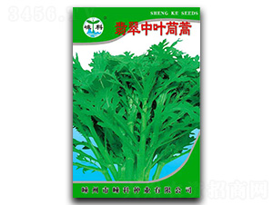 翡翠中葉茼蒿-茼蒿種子-嵊科種業