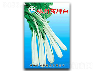 嵊州高腳白-青菜種子-嵊科種業(yè)